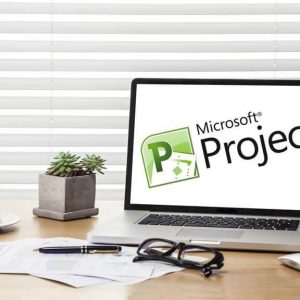 Microsoft Project Software Training