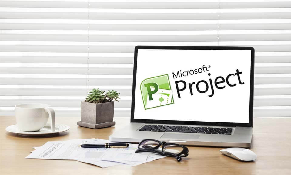 Microsoft Project Software Training