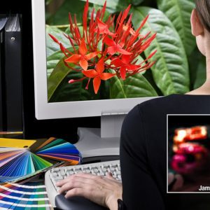 Adobe InDesign CS5: Essentials
