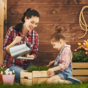 Mastering Home Decorating and Gardening