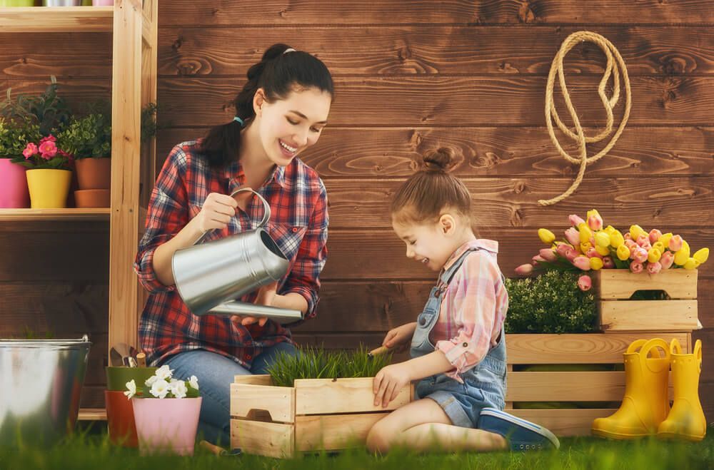 Mastering Home Decorating and Gardening