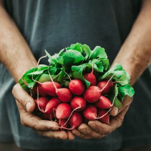 Certificate in Food Gardening Level 3