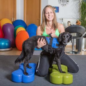 Advanced Diploma in Pet Physical Therapy at QLS Level 3