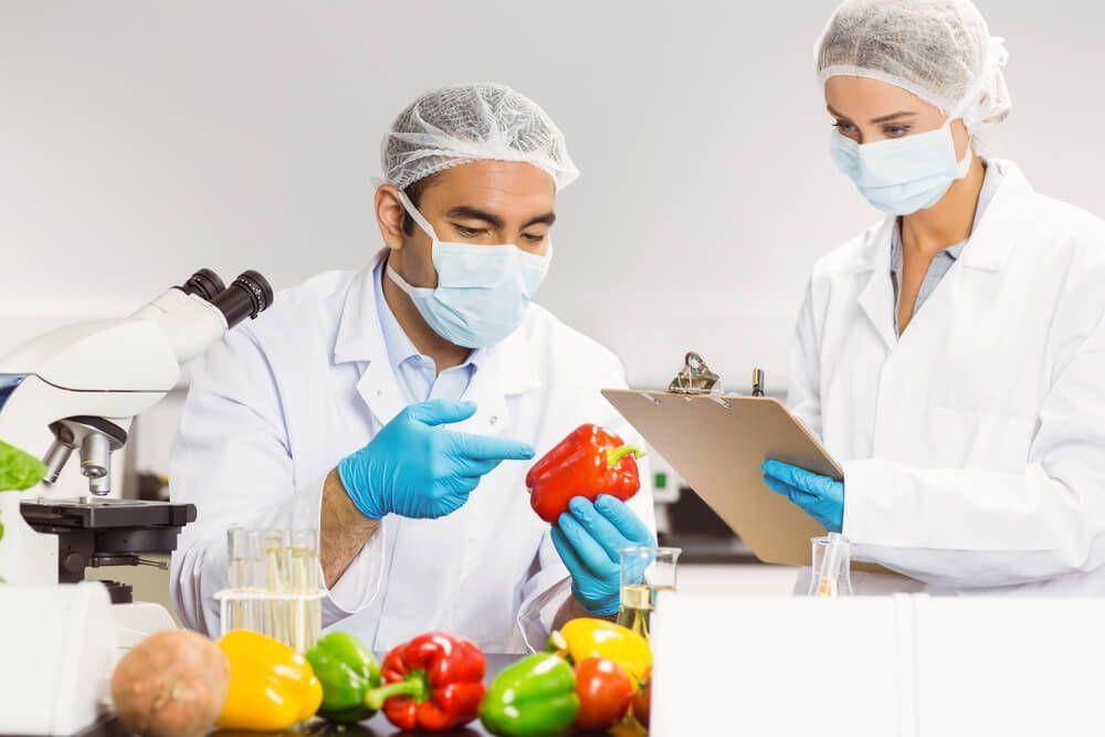 ISO 22000: Food Safety Management Systems Professional Certification