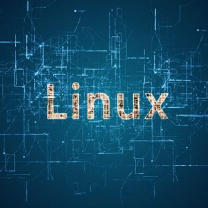 Linux for Absolute Beginner - Level 3