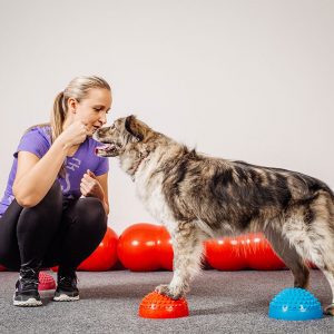 Dog Trainer – Level 3