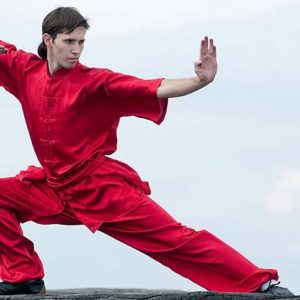 Shaolin Kung Fu Apprentice - Level 1 (Part 1)
