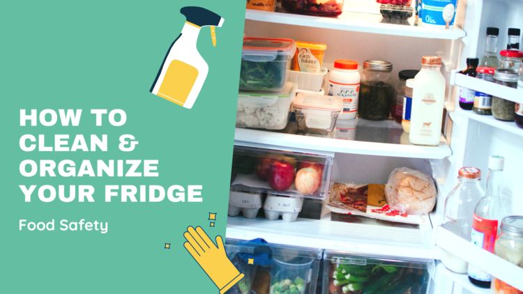 How to Clean and Organise Your Fridge – Level 3 will teach you the secret of keeping your fridge organised and free from clutter.