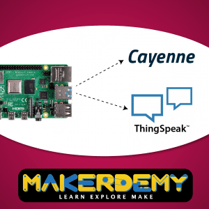 IoT with Raspberry