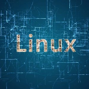Linux Fundamentals Certification Training