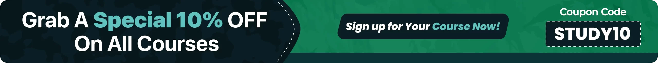 Instructor led live sessions