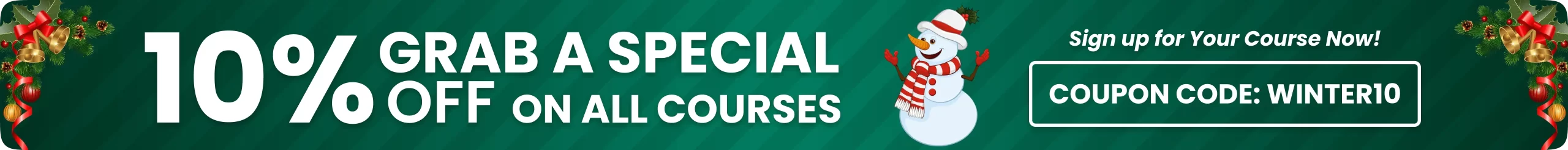 Instructor led live sessions